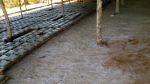 IMG-20161009-WA0029